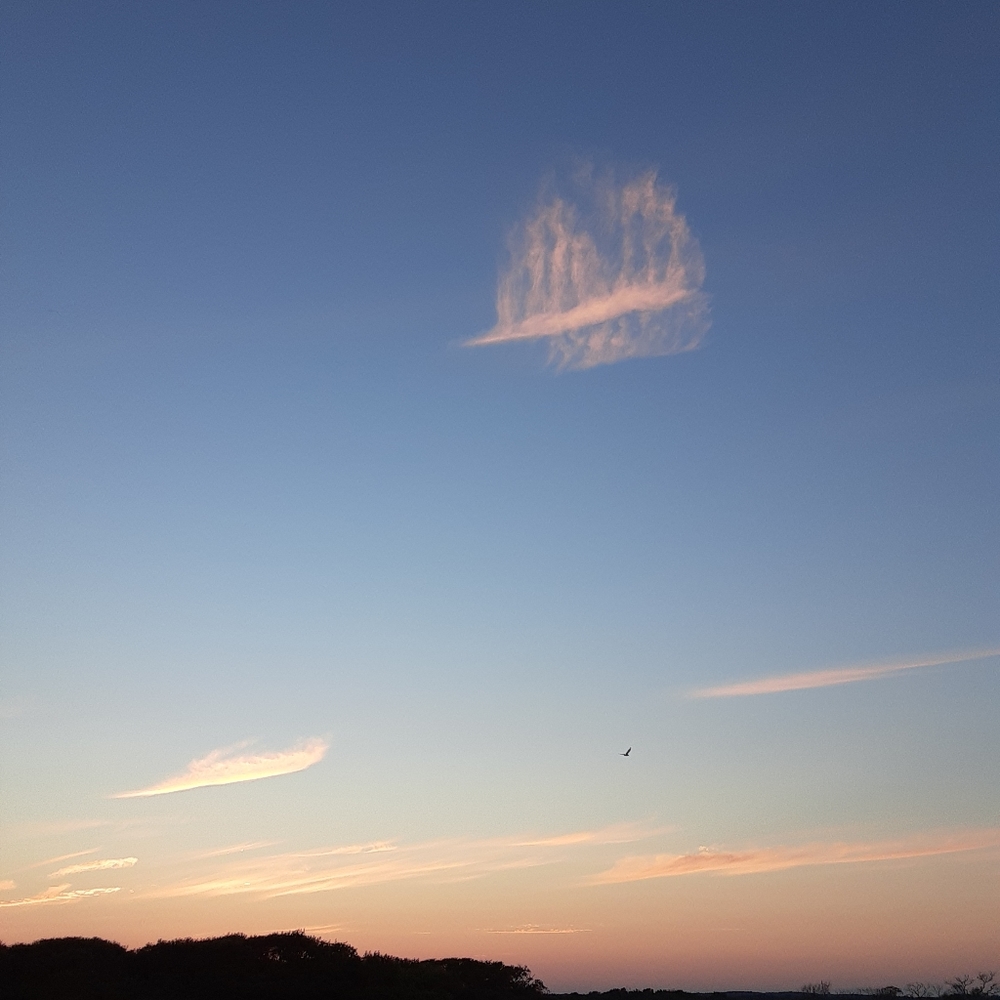 Meet your Posher, Beannie